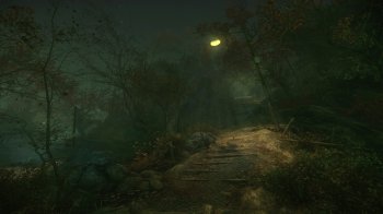 The Cursed Forest captura de tela 1