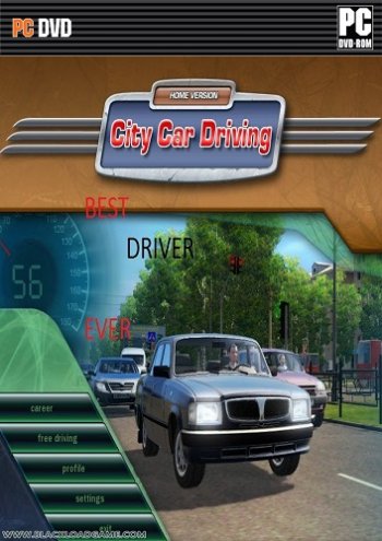 City Car Driving