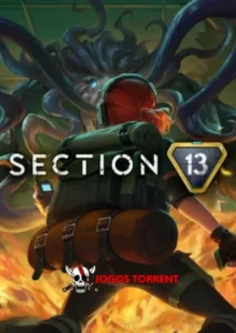 Section 13