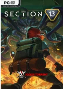 Section 13