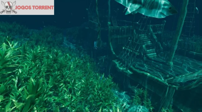 Baixe Island Notes (1)