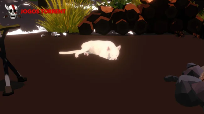 Baixe Campfire with Cat