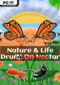 Nature And LD On Nectar Peacock Jumping Spider