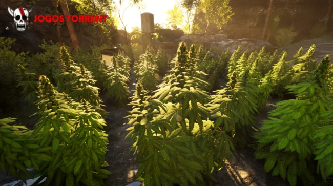 Baixe Weed Shop 4 Highland (1)